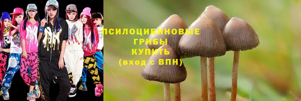 соль ск Балахна