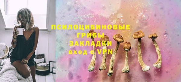 винт Осинники