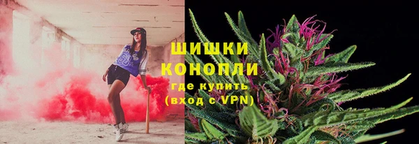 соль ск Балахна