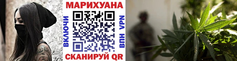 МАРИХУАНА SATIVA & INDICA  как найти наркотики  Гатчина 